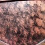 Кованая полка на стену LT-5 - фото 5