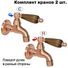 Дуб
