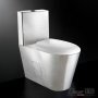 Унитаз из нержавеющей стали STT-210P-W