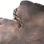 Раковина из бронзы BS-009-AG - фото 2